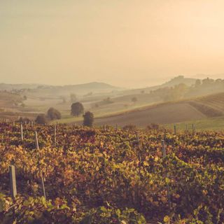 La distilleria Dellavalle di Vigliano, protagonista della trasmissione di La7 "L'ingrediente perfetto"