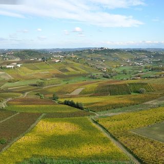 Turismo outdoor: prosegue il percorso formativo per gli operatori turistici del Monferrato