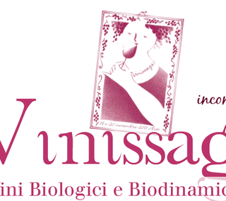 Asti si prepara per Vinissage 2019, nell'attesa il 1 giugno una tavola rotonda