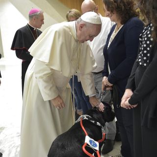 L'udienza con il Papa di Renata e York