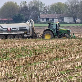 Riso, l'allarme di Coldiretti Piemonte: "Il settore è in crisi, il Governo convochi subito il Tavolo nazionale"