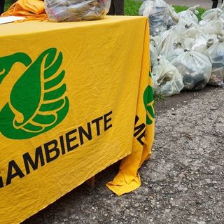 Reati di ecomafia in crescita in Piemonte, i numeri di Legambiente: nell'Astigiano 82 reati segnalati