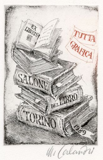 In questa e nelle immagini a fine articolo alcune delle opere realizzate dal Maestro Calandri