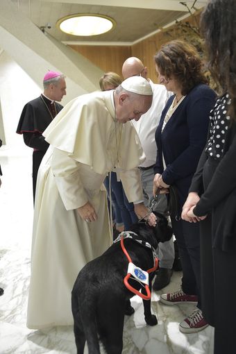 L'udienza con il Papa di Renata e York