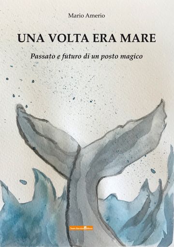 La copertina del libro di Amerio