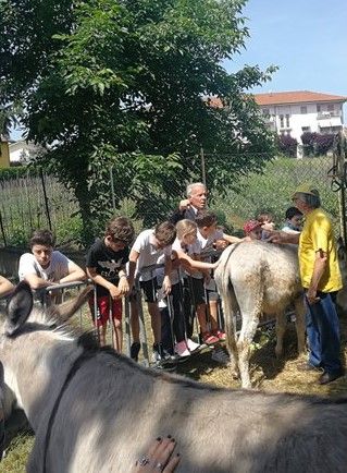 Festa della Terra Villanova d'Asti Festa della Terra Villanova d'Asti