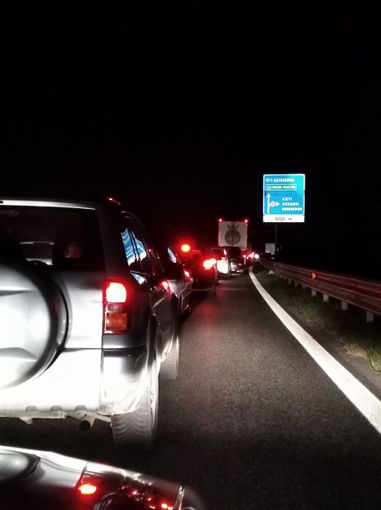 Grosso incidente in tangenziale a causa di alcuni cinghiali Grosso incidente in tangenziale a causa di alcuni cinghiali