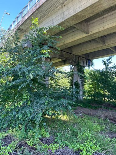 Briccarello: "L'Amministrazione faccia chiarezza sul cantiere del cavalcavia Giolitti" Briccarello: "L'Amministrazione faccia chiarezza sul cantiere del cavalcavia Giolitti"