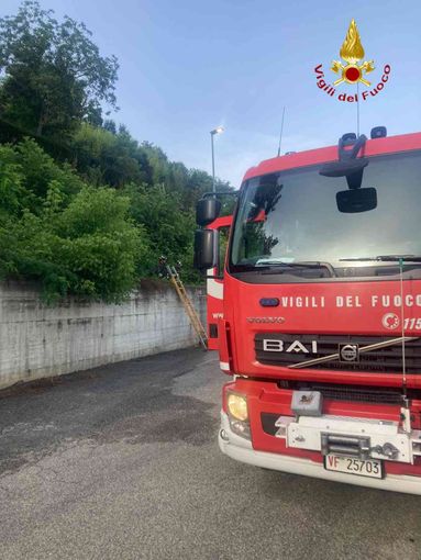 Incendio sterpaglie a Castello di Annone: ustionato un anziano Incendio sterpaglie a Castello di Annone: ustionato un anziano