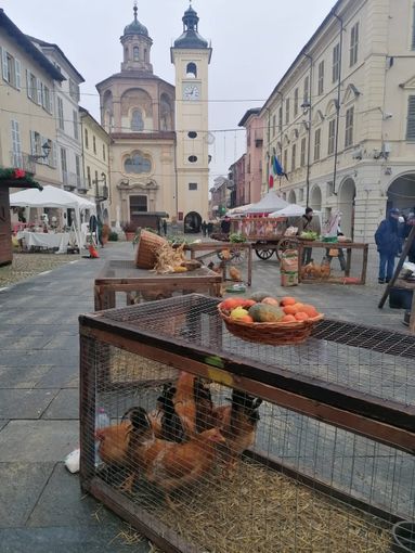 Alcune immagini della Fiera del Cappone che si è tenuta domenica Alcune immagini della Fiera del Cappone che si è tenuta domenica