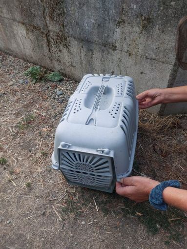 L'immagine dal profilo FB di uno dei volontari L'immagine dal profilo FB di uno dei volontari