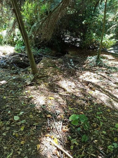 Parco Rio Crosio, allarme dei cittadini: “Fossi ostruiti e rischio frane”
