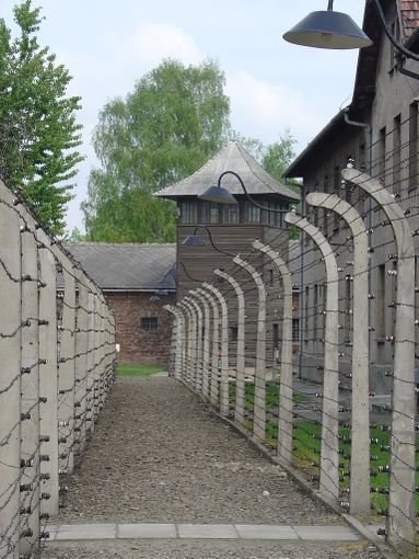 Uno scorcio del lager di Auschwitz