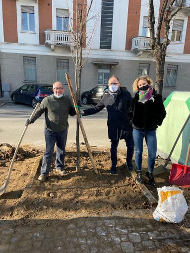 Rasero e Morra messa a dimora albero