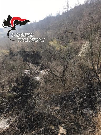 Vasto incendio boschivo a Roccaverano. Bruciato un ettaro e mezzo (AGGIORNAMENTO)