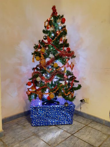 Albero di Natale dormitorio di Asti