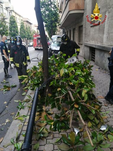 Perde il controllo dell'auto centrando un palo e un albero in corso Dante