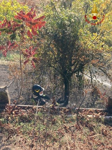Robella: incendio sterpaglie nel giardino di una casa. Intervengono i vigili del fuoco