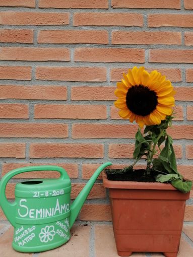 Valfenera: successo per la passeggiata &quot;tra boschi e stelle&quot;, organizzata dall'associazione &quot;La Rocca&quot;