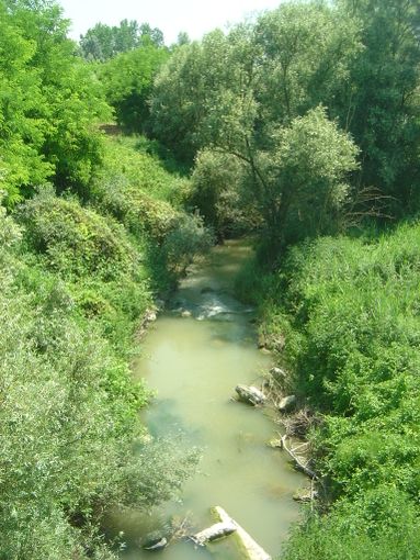 Un'immagine del torrente Versa