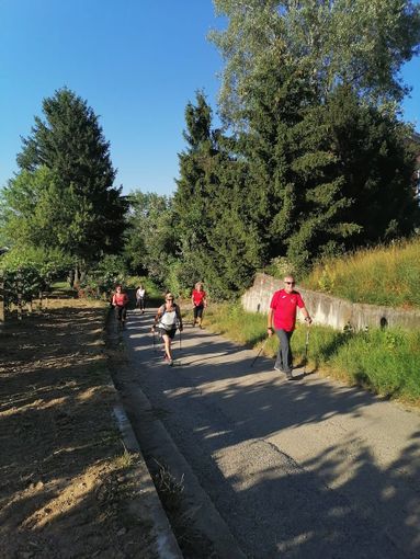 Immagine generica d'archivio