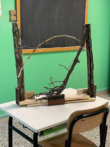 Al CPIA un corso di lessico specifico per l'agricoltura Al CPIA un corso di lessico specifico per l'agricoltura