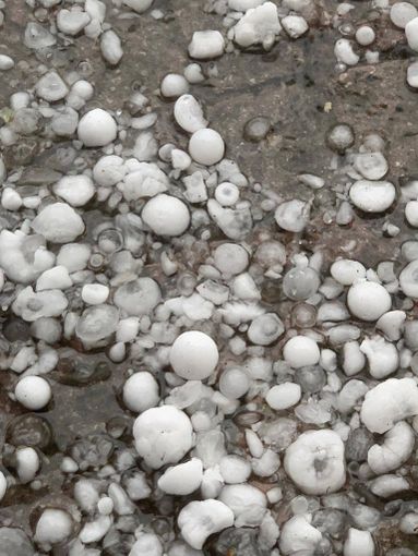 Foto di Mario dal gruppo Dati Meteo Asti - Berzano San Pietro