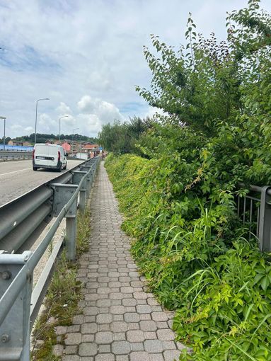 I consiglieri di opposizione attaccano: "Corso Alba, come si abbandona un quartiere" I consiglieri di opposizione attaccano: "Corso Alba, come si abbandona un quartiere"