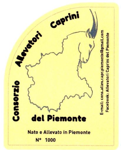 L'etichetta dei capi garantiti dal Consorzio L'etichetta dei capi garantiti dal Consorzio