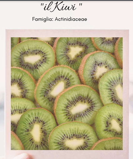 FRUTTINFIORE: sabato 1 aprile workshop BioDea a Lagnasco FRUTTINFIORE: sabato 1 aprile workshop BioDea a Lagnasco