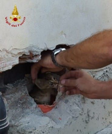 Villanova d’Asti, intervento dei vigili del fuoco in Borgo Terrazze per salvare un gatto intrappolato in un condotto