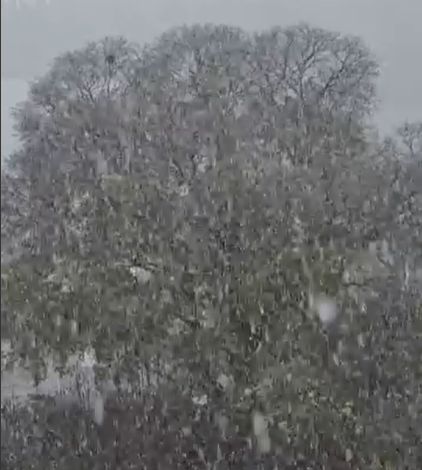 L'inverno bussa all'Astigiano: oggi la prima neve della stagione L'inverno bussa all'Astigiano: oggi la prima neve della stagione