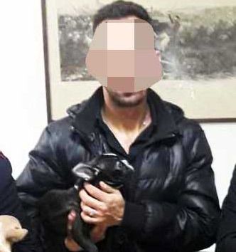 Arrestato animalista residente in provincia di Asti: gli sviluppi