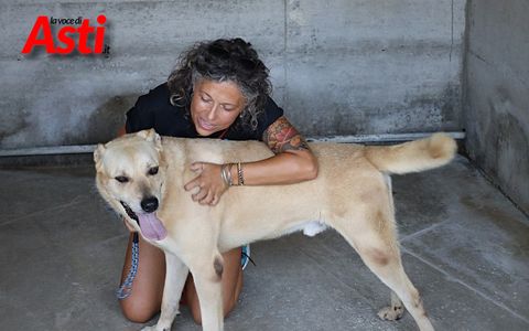 Asti, il pane avanzato della mensa scolastica diventa aiuto concreto per il Canile municipale