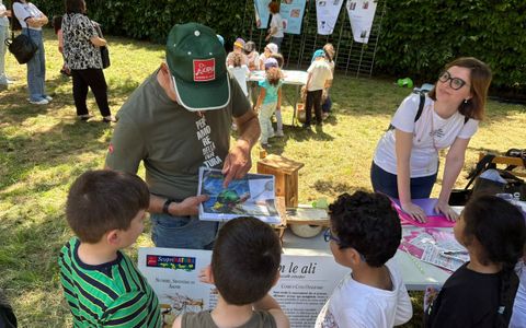 Immagini di alcuni momenti del pomeriggio di giochi e divertimento