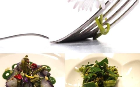 Le ricette vincitrici del concorso &quot;Un fiore nel piatto&quot;. Un menù sorprendente, dove i fiori sono protagonisti di un viaggio sensoriale raffinato e autentico