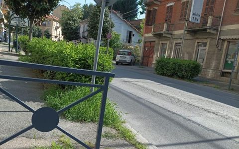 Viabilità ad Asti: in viale Partigiani una siepe impedisce la visibilità a chi si immette dalle strade laterali
