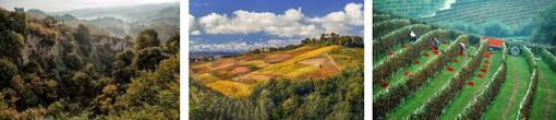 La Meraviglia Unesco: Langhe, Roero e Monferrato attraverso gli occhi di tre fotografi La Meraviglia Unesco: Langhe, Roero e Monferrato attraverso gli occhi di tre fotografi