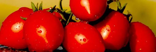 Immagine tratta dal sito www.fondazioneslowfood.com