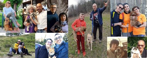 Oggi è l'International Dog Day: nel mondo si festeggia il più fedele amico dell'uomo Oggi è l'International Dog Day: nel mondo si festeggia il più fedele amico dell'uomo