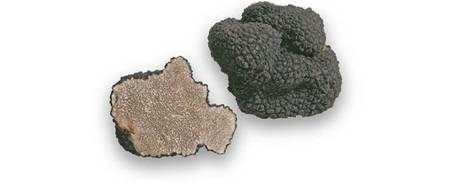 Quarantasette Comuni del nord Astigiano uniti nella promozione dell'"Oro Monferrato" Quarantasette Comuni del nord Astigiano uniti nella promozione dell'"Oro Monferrato"