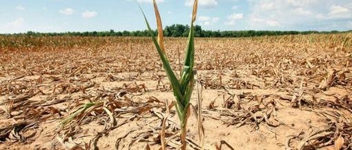 Pericolo siccità nell'Astigiano: si teme per le semine primaverili
