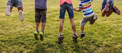 Immagine generica dal web Immagine generica dal web