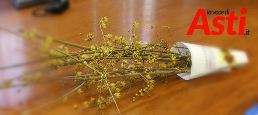 La pianta che dà il nome al premio