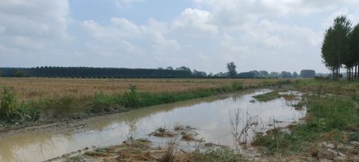 La fase metereologica che si trascina con forti piogge ormai da mesi mette in allarme gli Agricoltori Autonomi Italiani