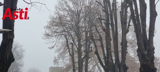 Foto di repertorio (Merphefoto) Foto di repertorio (Merphefoto)