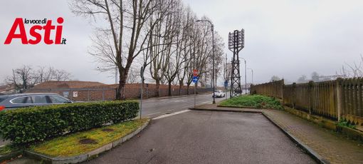 Quinto giorno di sciopero della fame in difesa dei platani di corso Savona, davanti agli uffici comunali