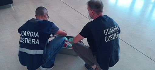 Controlli della Guardia Costiera savonese nell'Astigiano: diverse multe fino a 3 mila 500 euro Controlli della Guardia Costiera savonese nell'Astigiano: diverse multe fino a 3 mila 500 euro