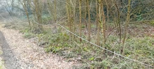Alcune foto inviateci dal nostro lettore che documentano le linee telefoniche in zona
