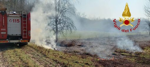 Prosegue l'emergenza sterpaglie, che anche oggi ha impegnato a lungo i vigili del fuoco Prosegue l'emergenza sterpaglie, che anche oggi ha impegnato a lungo i vigili del fuoco